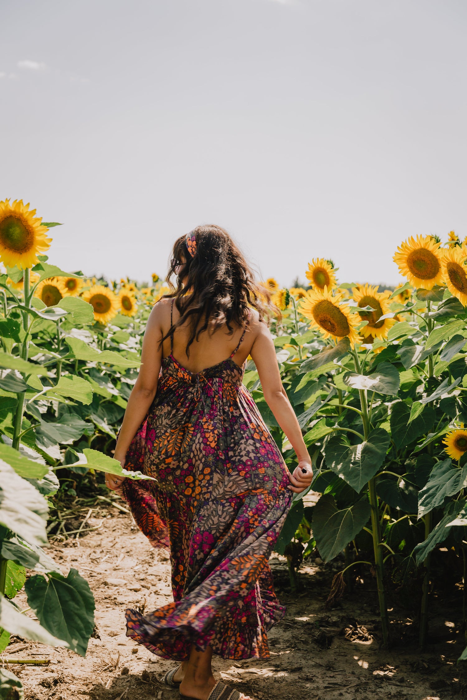 Happy Hormones Seeds are Organic and Natural